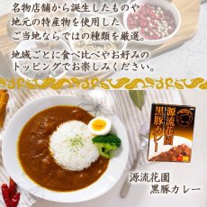 画像6: 【ギフトボックス】ご当地カレー ラーメン10種セット東日本選抜 常温保存 半生麺 (6)