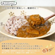 画像10: 【祝大谷翔平選手50‐50】【緊急セール】 食物繊維豊富 大豆ミートのキーマ風カレー 180ｇ たけのこ れんこん入りレトルトカレー (10)