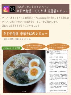 画像7: ご当地 ラーメン 有名店 3種9食詰め合わせセット (7)