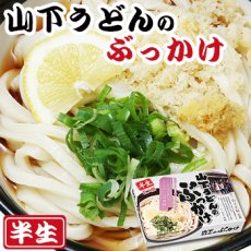 画像1: 山下うどん  ぶっかけうどん  讃岐うどん2食入（半生麺、箱） (1)